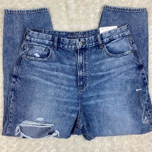 American Eagle Distressed Curvy Mom Jean